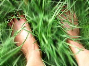 Feet in grass. Photo by AussieGal
